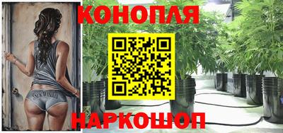 Альфа ПВП Заводоуковск