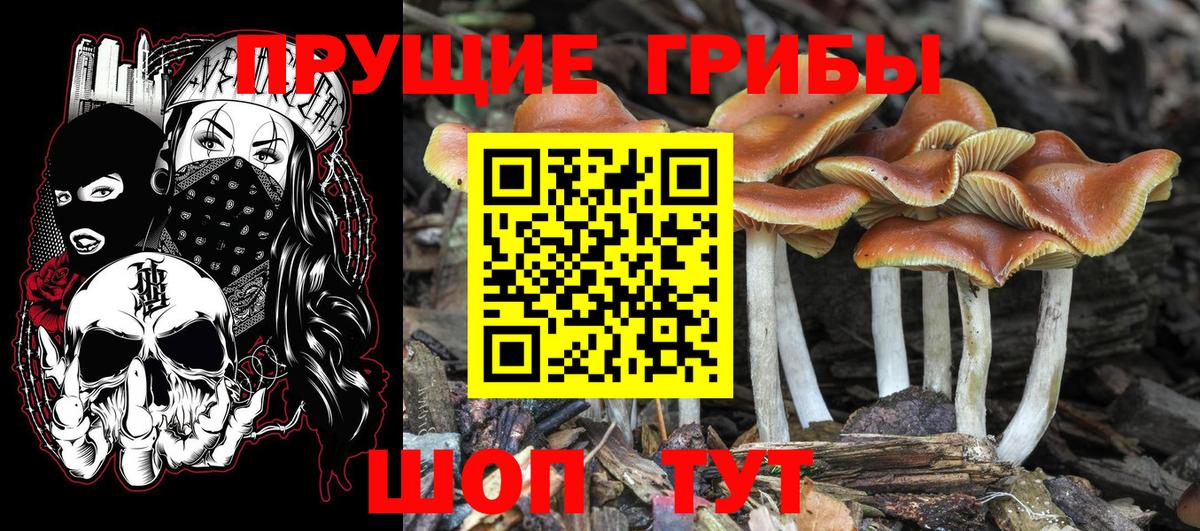 Псилоцибиновые грибы мицелий  Вход с VPN  Галлюциногенные грибы прущие грибы  Копейск 